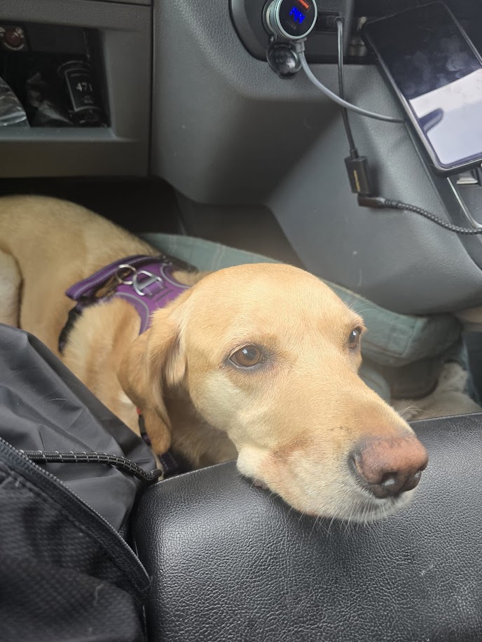 On Our Way