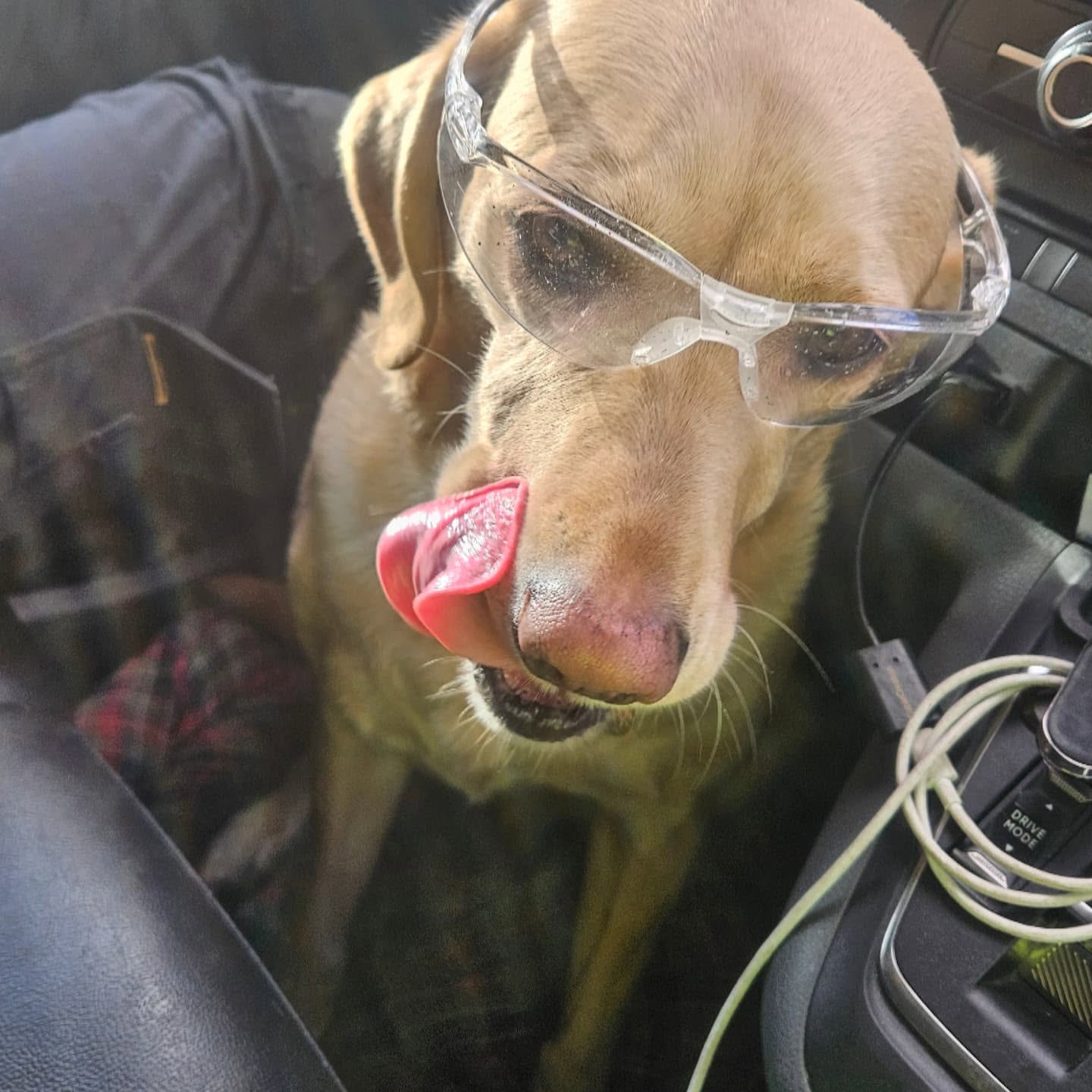 Miah, Conducting's Chief Morale Officer